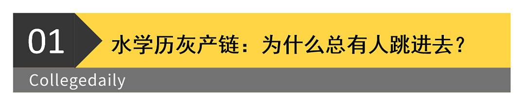 又一个董小姐？选美冠军靠造假入港大被抓，假学历为何仍屡禁不止？（组图） - 2