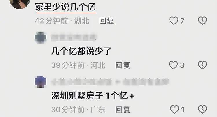 230万买一对耳环,1.8亿买个别墅,短短8年,网友惊叹:商业奇才(组图) - 2