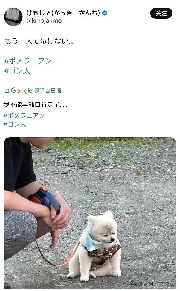 【爆笑】内裤剪裆变短裙？巴黎世家也太炸裂了！网友迷惑：这是男士内裤还是女士裙子？（组图） - 37