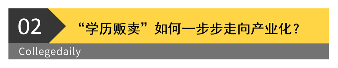 又一个董小姐？选美冠军靠造假入港大被抓，假学历为何仍屡禁不止？（组图） - 7