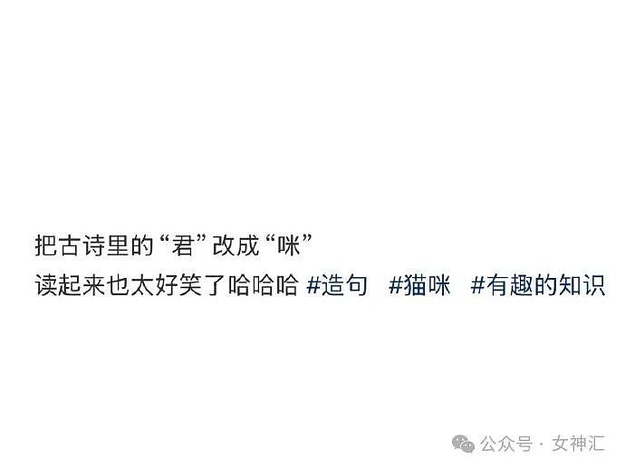 【爆笑】内裤剪裆变短裙？巴黎世家也太炸裂了！网友迷惑：这是男士内裤还是女士裙子？（组图） - 25