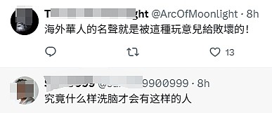 两名中国男子驾车撞伤4名日本小学生后逃逸,遭全网声讨后,其中一人自首(视频/组图) - 19