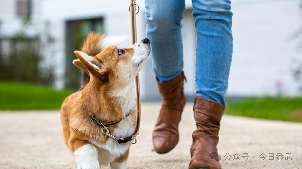 澳理财专家手把手教！9个办法，让你每年多$2万（组图） - 3