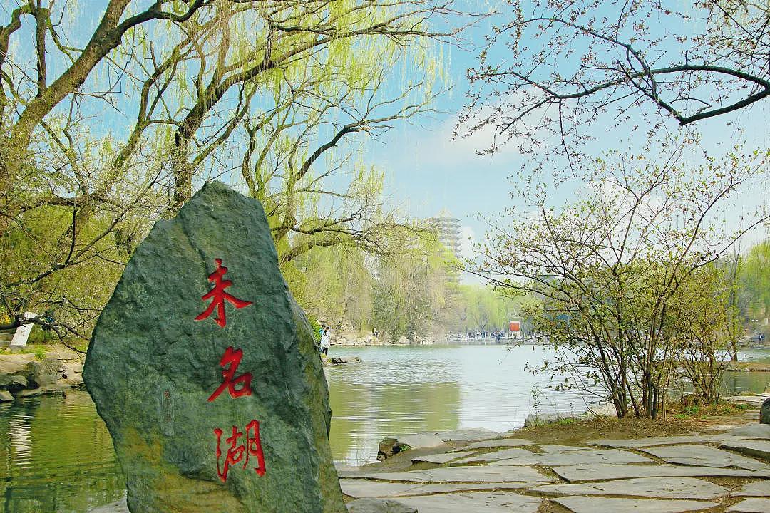 985本硕,三年被裁三次,我还要更努力吗?(组图) - 6
