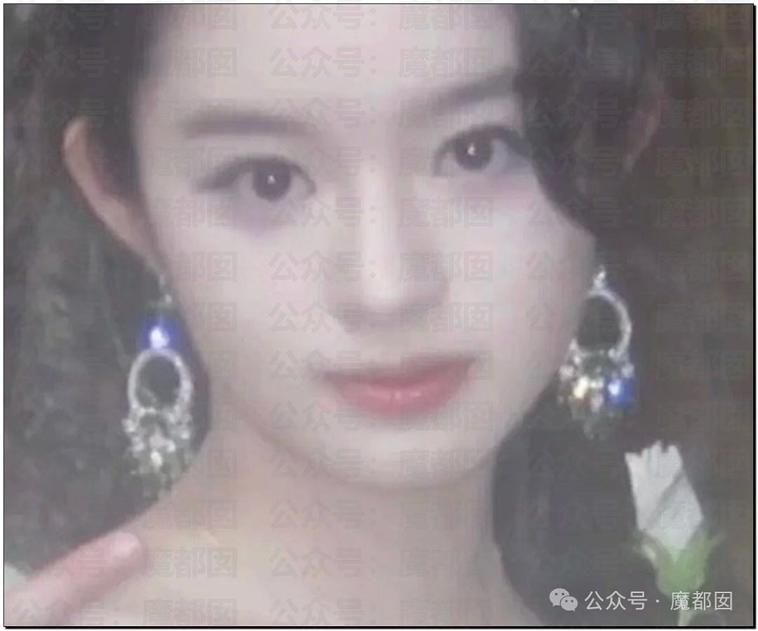 黄杨钿甜百万耳环竟引发对一线顶流女星Y某家庭的质疑（组图） - 11