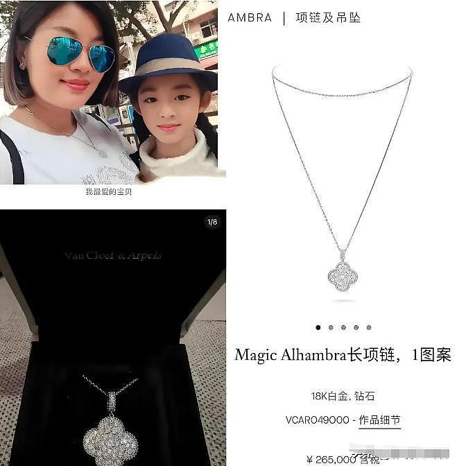 230万天价耳环还没完,又一女星家境被扒,其爷爷被曝疑侵占15亿(组图) - 7