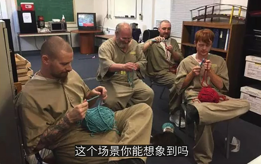 【宠物】地震后，小猫一个举动救出全家人，看哭网友：猫好！养猫能救命（组图） - 11