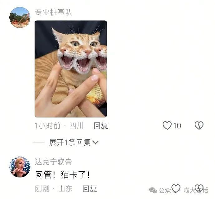 【爆笑】“为什么二手不能出给小学生？”哈哈哈哈哈被小孩的反应笑晕了（组图） - 86