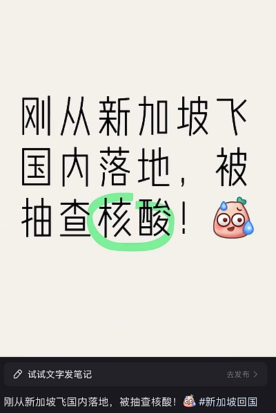新加坡新冠疫情再起：急诊等8小时、最新症状曝光、网友曝回国被拉去做核酸...（组图） - 14