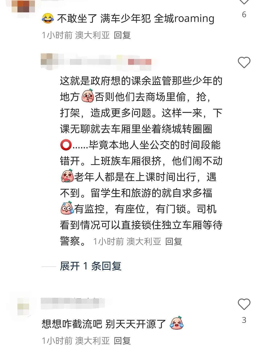 刚刚，维州官宣福利，华人却慌了（组图） - 6