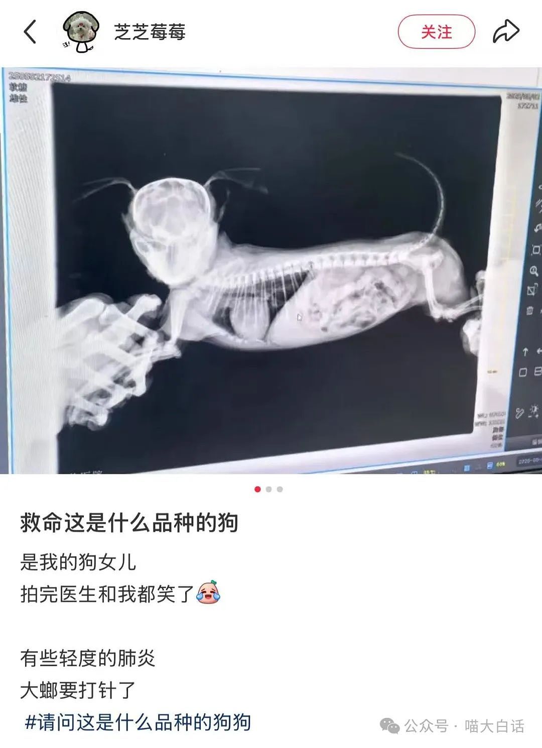 【爆笑】“千万别随便在网上发表煽情话......”哈哈哈哈哈人类一旦谈起屎尿屁就滔滔不绝了（组图） - 63