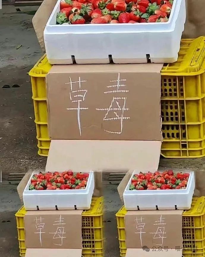 【爆笑】“为什么二手不能出给小学生？”哈哈哈哈哈被小孩的反应笑晕了（组图） - 17