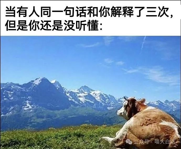 【爆笑】“为什么二手不能出给小学生？”哈哈哈哈哈被小孩的反应笑晕了（组图） - 64