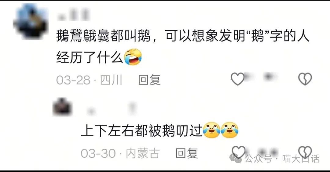 【爆笑】“千万别随便在网上发表煽情话......”哈哈哈哈哈人类一旦谈起屎尿屁就滔滔不绝了（组图） - 83