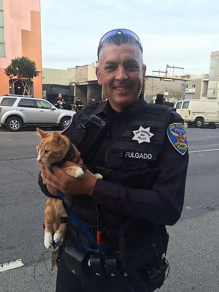 【宠物】地震后，小猫一个举动救出全家人，看哭网友：猫好！养猫能救命（组图） - 13