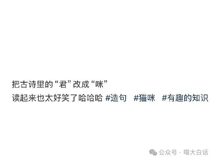 【爆笑】“为什么二手不能出给小学生？”哈哈哈哈哈被小孩的反应笑晕了（组图） - 49