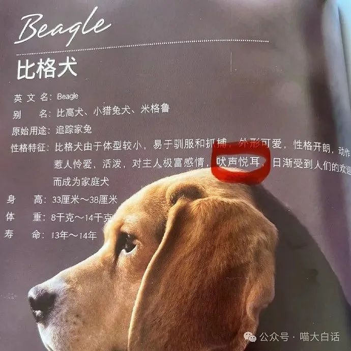 【爆笑】“为什么二手不能出给小学生？”哈哈哈哈哈被小孩的反应笑晕了（组图） - 72