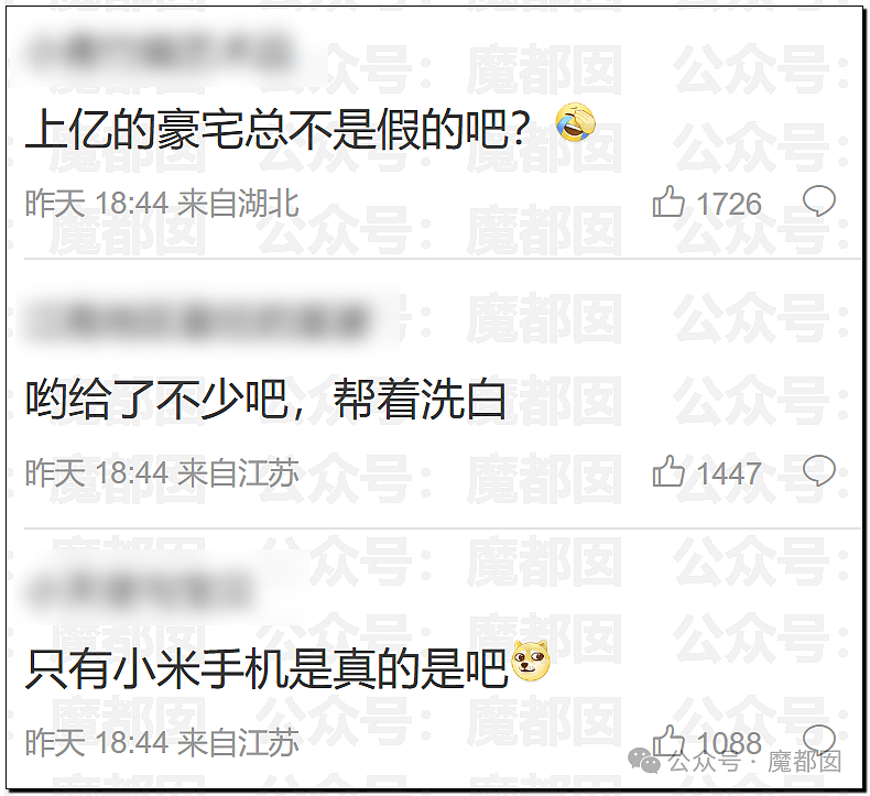 黄杨钿甜百万耳环竟引发对一线顶流女星Y某家庭的质疑（组图） - 4