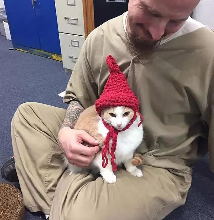 【宠物】地震后，小猫一个举动救出全家人，看哭网友：猫好！养猫能救命（组图） - 12