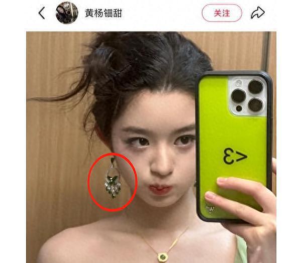 230万天价耳环还没完,又一女星家境被扒,其爷爷被曝疑侵占15亿(组图) - 3