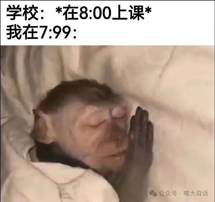 【爆笑】“千万别随便在网上发表煽情话......”哈哈哈哈哈人类一旦谈起屎尿屁就滔滔不绝了（组图） - 23