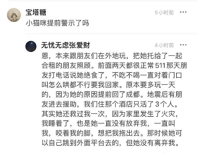 【宠物】地震后，小猫一个举动救出全家人，看哭网友：猫好！养猫能救命（组图） - 3