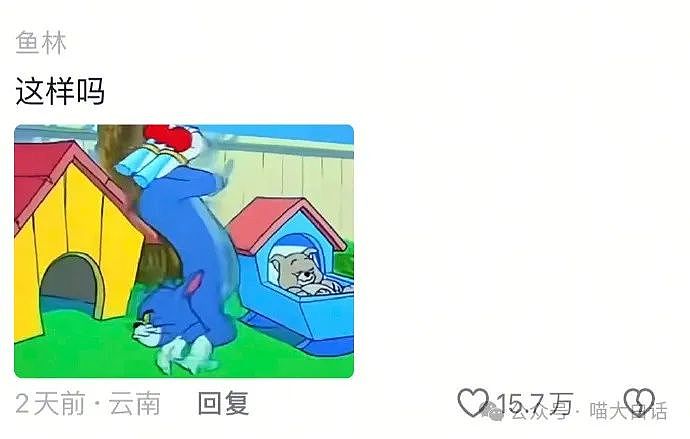 【爆笑】“千万别随便在网上发表煽情话......”哈哈哈哈哈人类一旦谈起屎尿屁就滔滔不绝了（组图） - 21