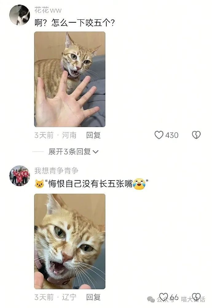 【爆笑】“为什么二手不能出给小学生？”哈哈哈哈哈被小孩的反应笑晕了（组图） - 87