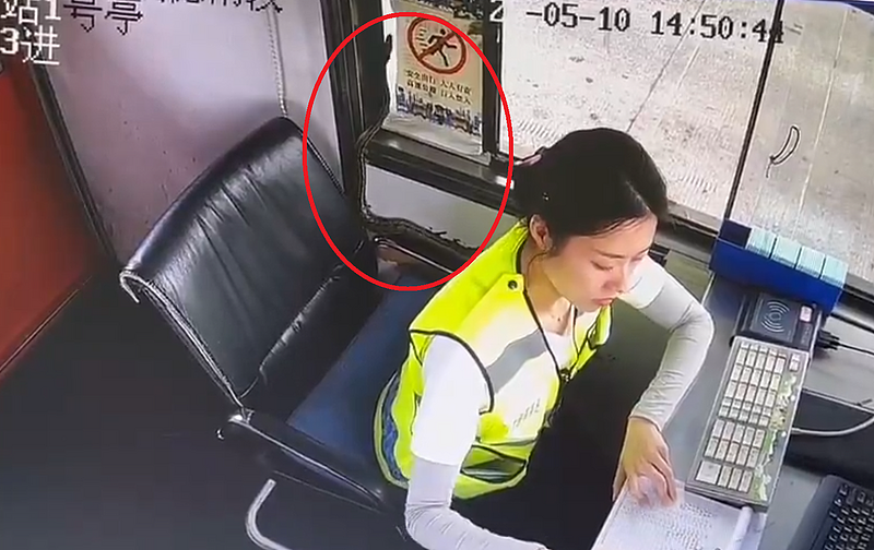 惊呆!中国高速公路收费站蛇蛇入侵,美女站员吓到花容失色(视频/组图) - 1