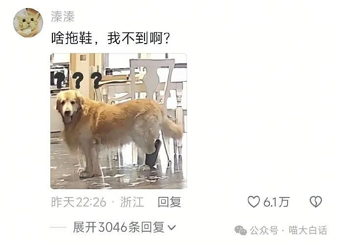 【爆笑】“为什么二手不能出给小学生？”哈哈哈哈哈被小孩的反应笑晕了（组图） - 93