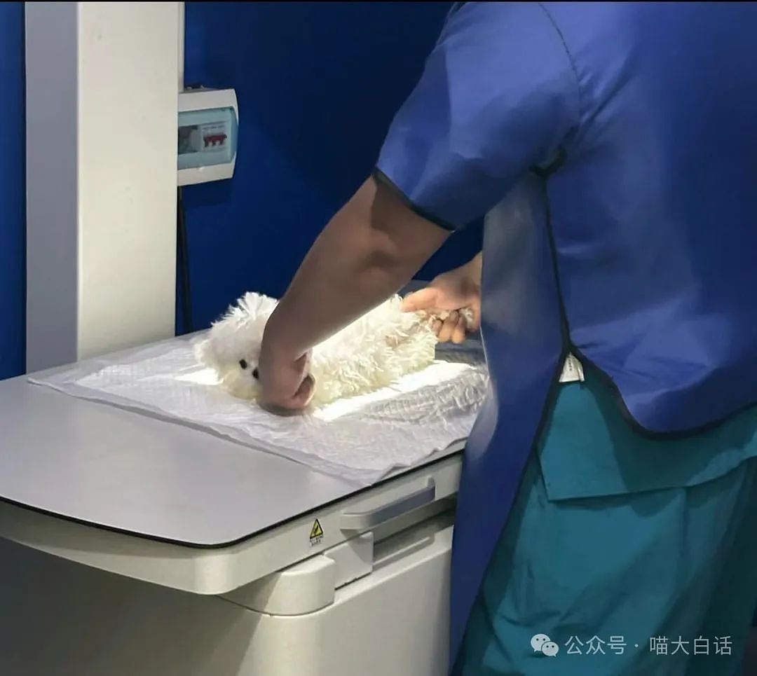 【爆笑】“千万别随便在网上发表煽情话......”哈哈哈哈哈人类一旦谈起屎尿屁就滔滔不绝了（组图） - 64