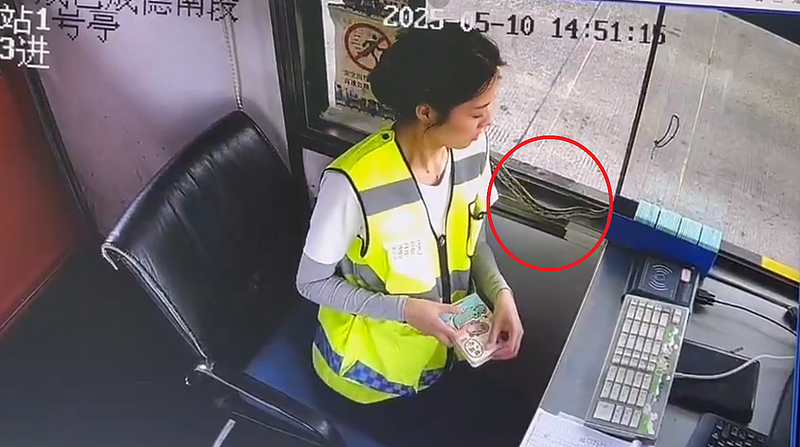 惊呆!中国高速公路收费站蛇蛇入侵,美女站员吓到花容失色(视频/组图) - 2