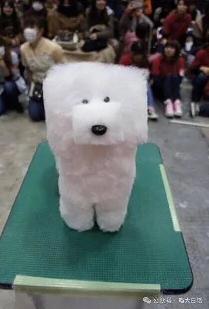 【爆笑】“为什么二手不能出给小学生？”哈哈哈哈哈被小孩的反应笑晕了（组图） - 56