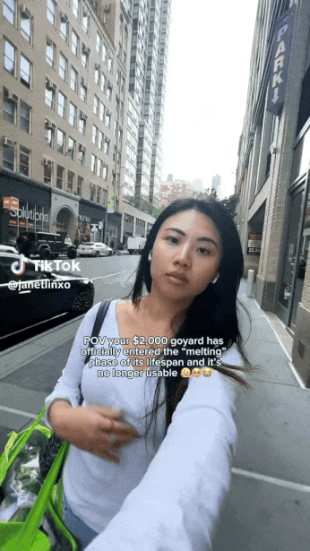 华裔妹子花$2000买的奢侈包，竟被晒“化”了！她愤怒发帖，没想到被铺天盖地的私信淹没...（组图） - 2