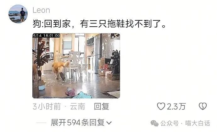 【爆笑】“为什么二手不能出给小学生？”哈哈哈哈哈被小孩的反应笑晕了（组图） - 94