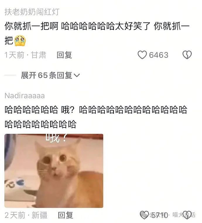 【爆笑】“千万别随便在网上发表煽情话......”哈哈哈哈哈人类一旦谈起屎尿屁就滔滔不绝了（组图） - 51
