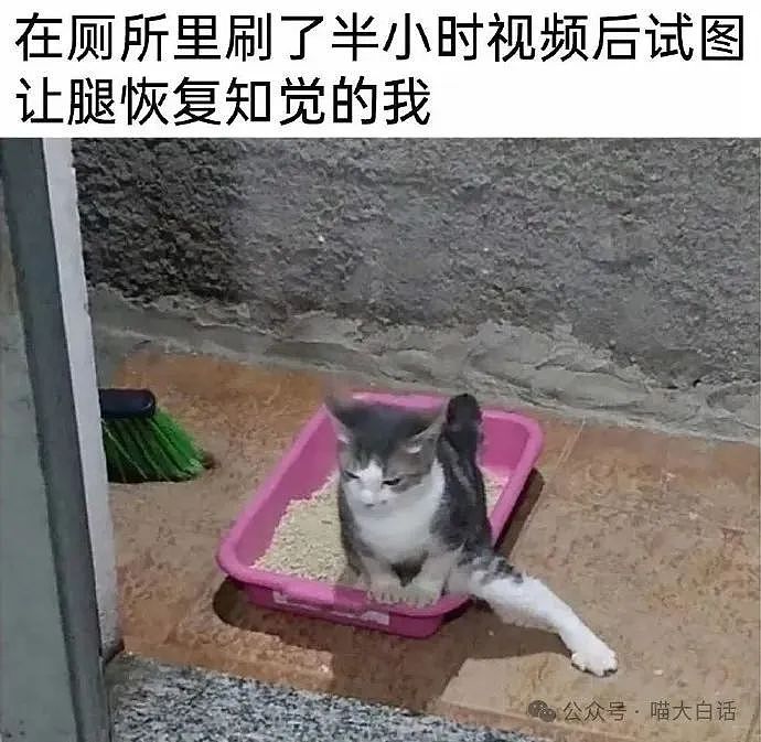 【爆笑】“为什么二手不能出给小学生？”哈哈哈哈哈被小孩的反应笑晕了（组图） - 26