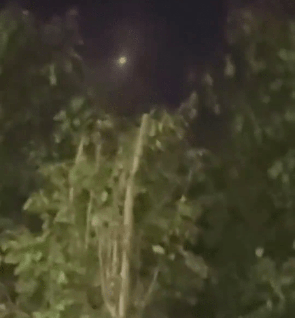 新疆UFO：多地上空“闪过”，三地相隔数百公里均有目击者发现不明飞行物（视频/组图） - 10