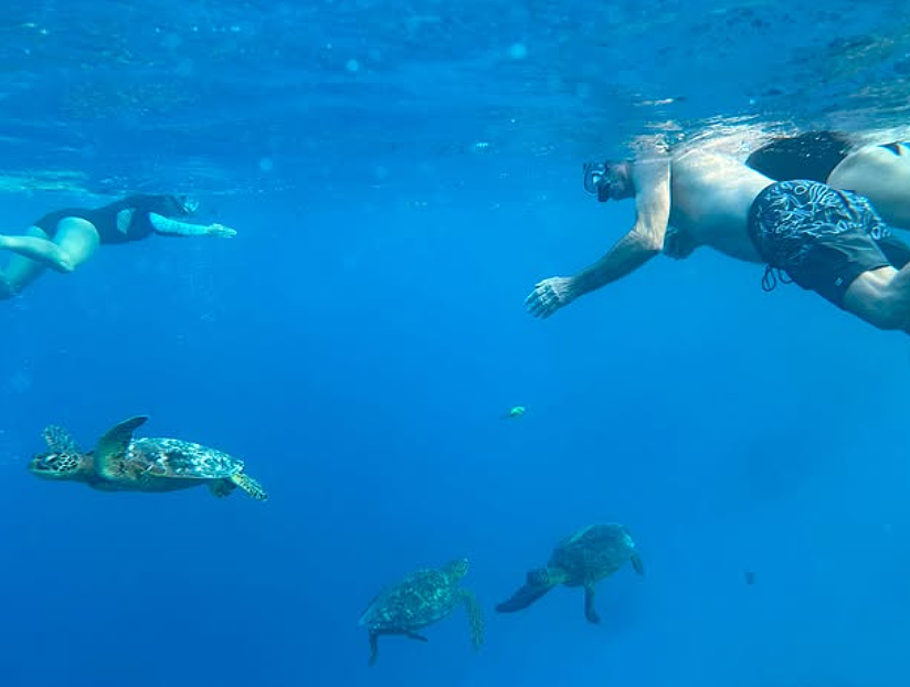 新西兰华人报名“热门旅游项目”，差点送命！老板还怪我毁了生意（组图） - 8