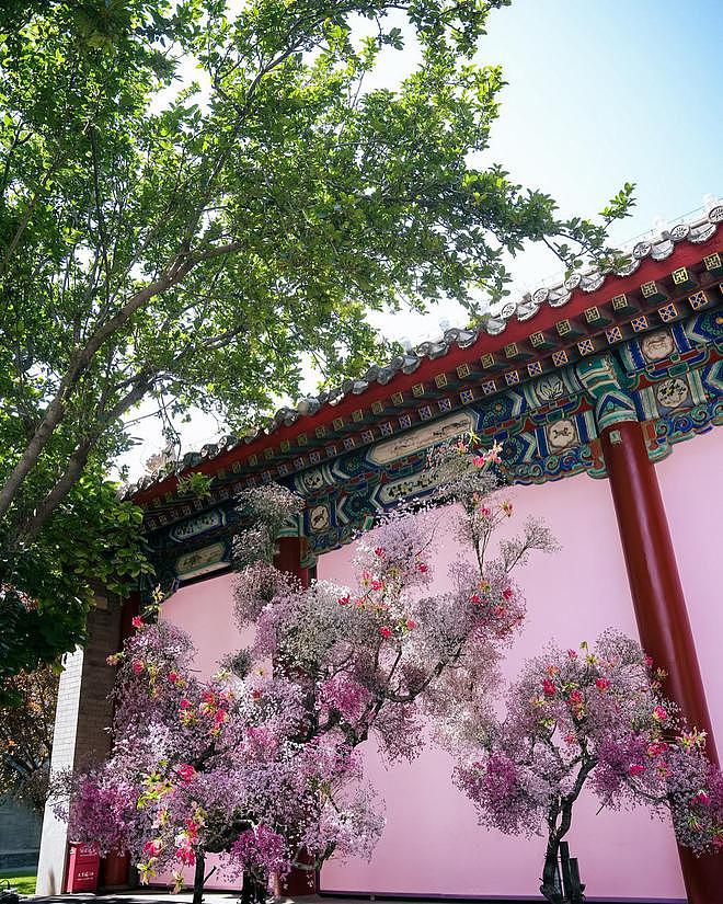 马筱梅分享婚礼高清图：至亲挚友们的相聚，一场华彩游园盛宴（组图） - 14