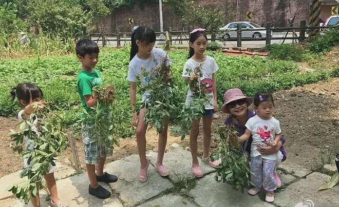 S妈越来越过分!未来遗产不给大S孩子,还要求汪小菲卖车给钱(组图) - 14
