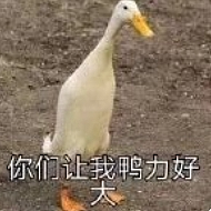 【爆笑】大半夜前妻流着泪找我，不是骚扰，也不是求复合，居然是求我可怜可怜她...（组图） - 9