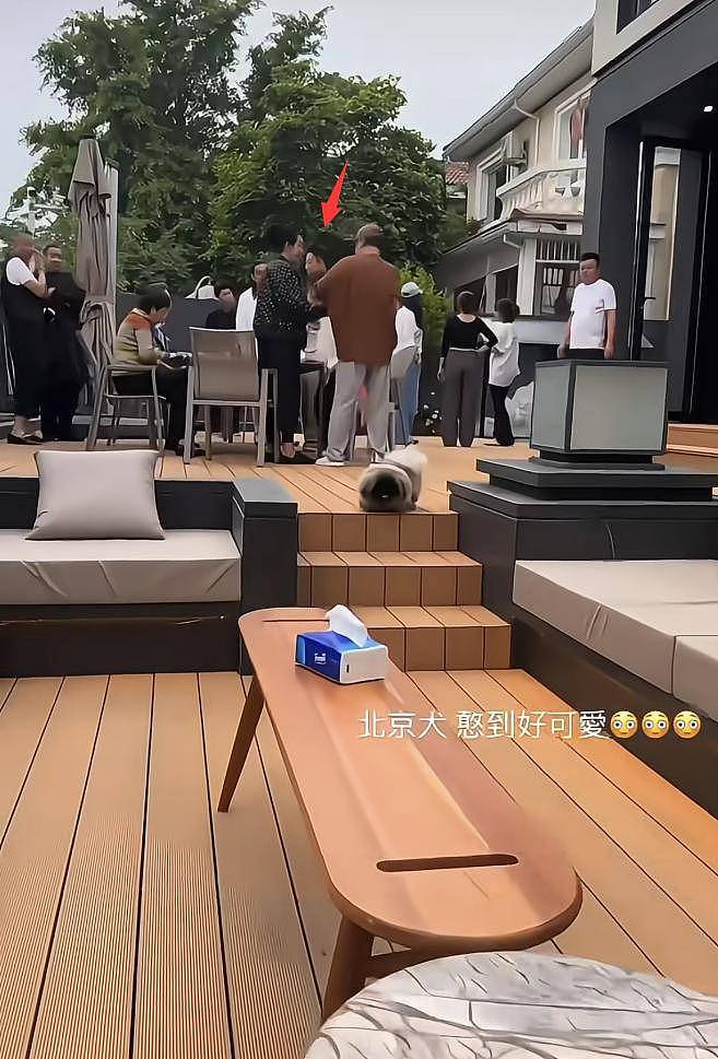 汪小菲婚房首曝光！院子超大装修豪华，烤全羊...（组图） - 6