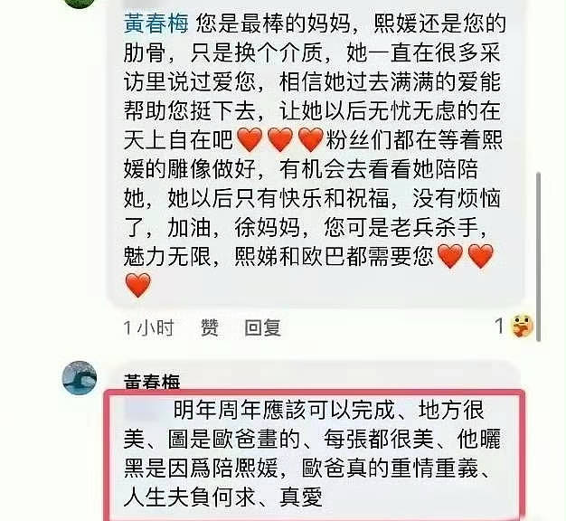 S妈不演了？逼迫马筱梅替夫还债，与马筱梅聊天记录曝光引热议（组图） - 12