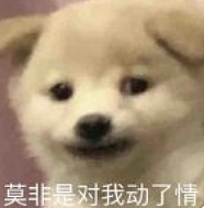 【爆笑】大半夜前妻流着泪找我，不是骚扰，也不是求复合，居然是求我可怜可怜她...（组图） - 3