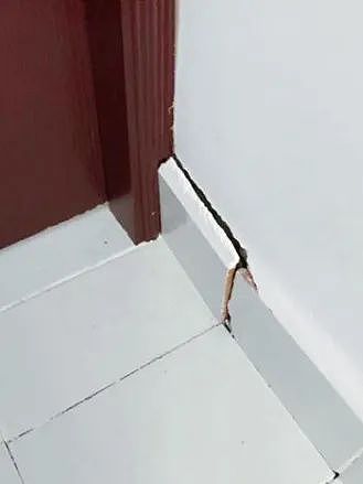 【宠物】喊橘猫吃饭,它在角落迟迟不动,主人把它挪开后,被气炸了...网友:孩子静悄悄,必定在作妖(组图) - 14
