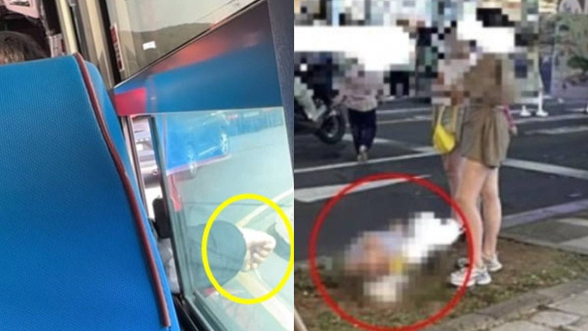 济州岛中国游客偷骨灰坛乱丢垃圾!韩国人大感愤怒、当局承诺严惩(组图) - 1