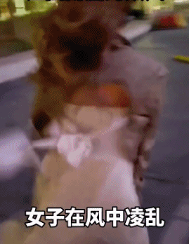 紧急！悉尼多所学校宣布停课！官方连续发布警告，雷暴+狂风+暴雨三重奏来了！悉尼妈妈们撑住...（组图） - 3