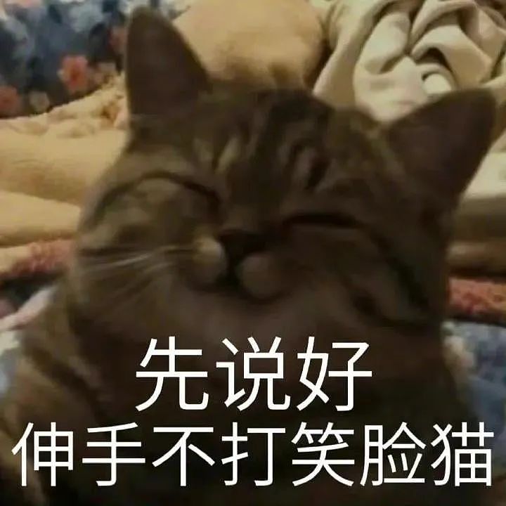 【宠物】喊橘猫吃饭,它在角落迟迟不动,主人把它挪开后,被气炸了...网友:孩子静悄悄,必定在作妖(组图) - 22