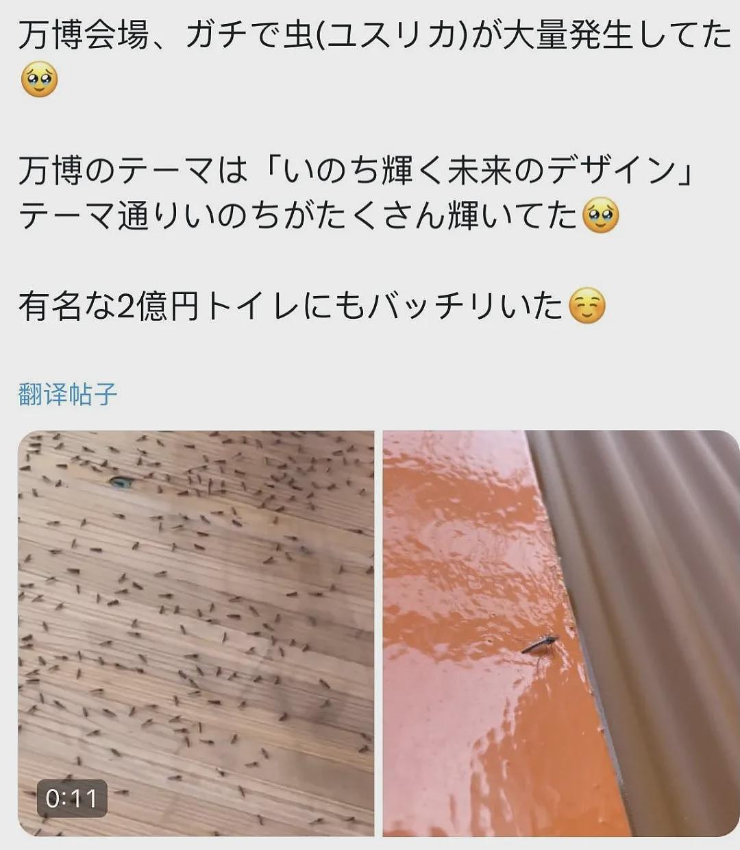 慎点！日本世博会惊现虫群，场馆内外爬满虫子，游客被吓到四处逃窜（视频/组图） - 14